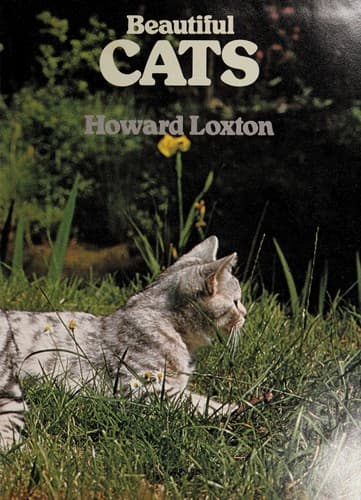 Cover image for Beautiful cats