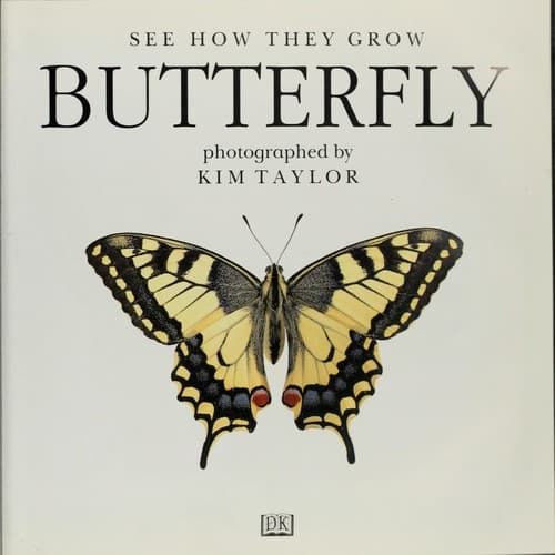 Cover image for Butterfly