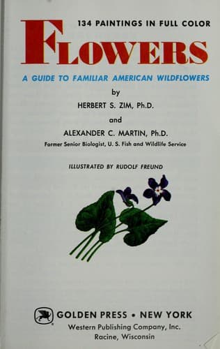Cover image for GT Flowers