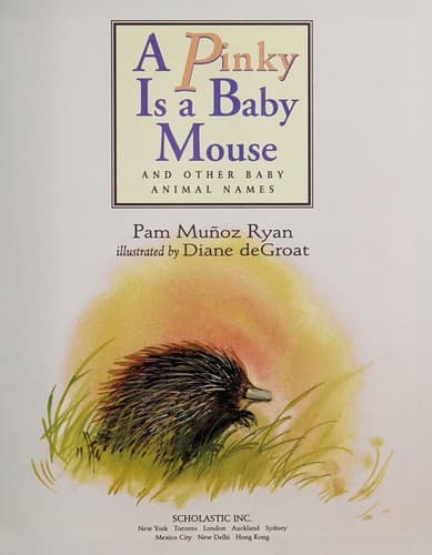 Cover image for A Pinky Is a Baby Mouse