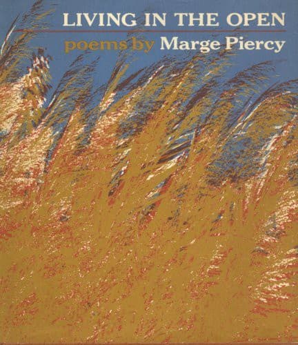 Cover image for Living in the open