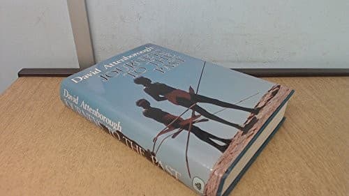Cover image for Journeys to the past