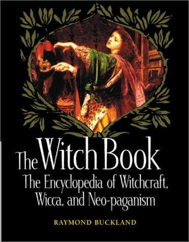Cover image for The Witch Book