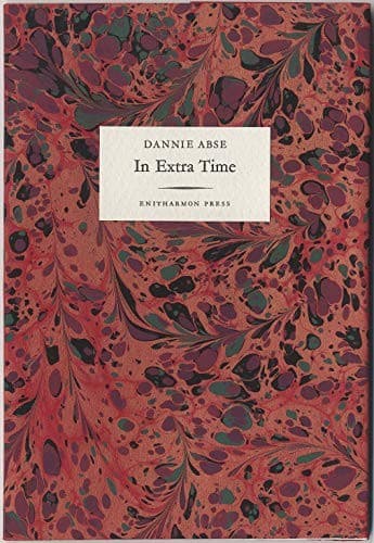 Cover image for A poet in the family