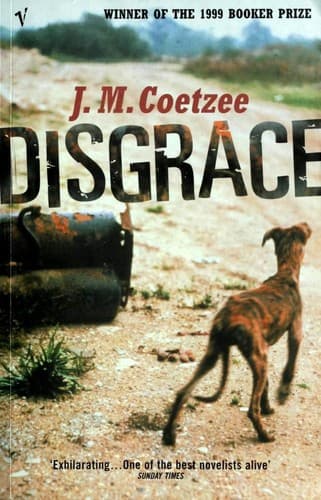 Cover image for Disgrace
