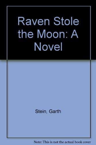 Cover image for Raven stole the moon