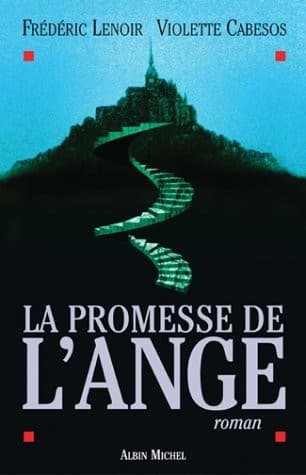 Cover image for La promesse de l'Ange.