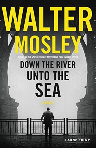 Cover image for Down the River unto the Sea