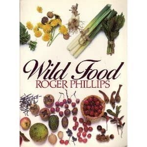 Cover image for Wild food