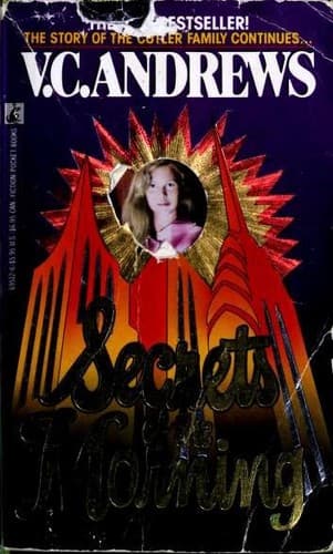 Cover image for Secrets of the Morning