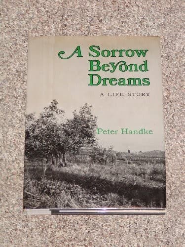 Cover image for A sorrow beyond dreams