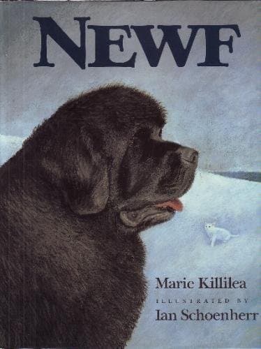 Cover image for Newf
