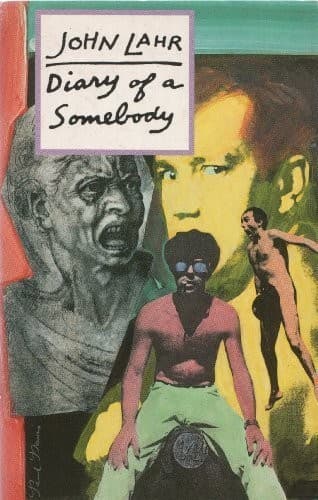 Cover image for Diary of a somebody