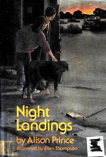 Cover image for Night landings