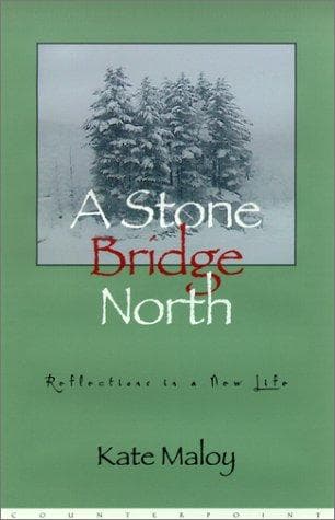 Cover image for A stone bridge North