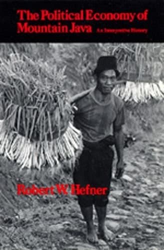 Cover image for The political economy of mountain Java