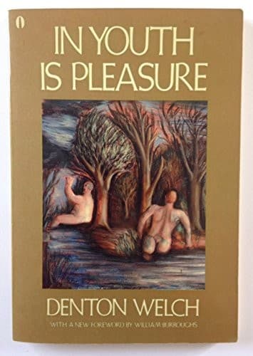 Cover image for In youth is pleasure