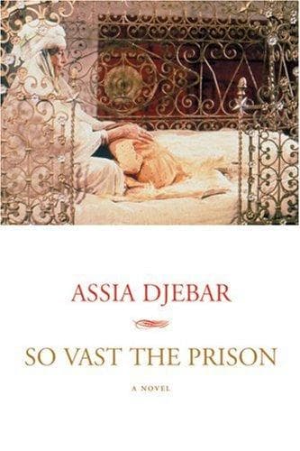 Cover image for So vast the prison