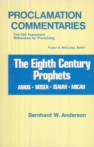 Cover image for The eighth century prophets