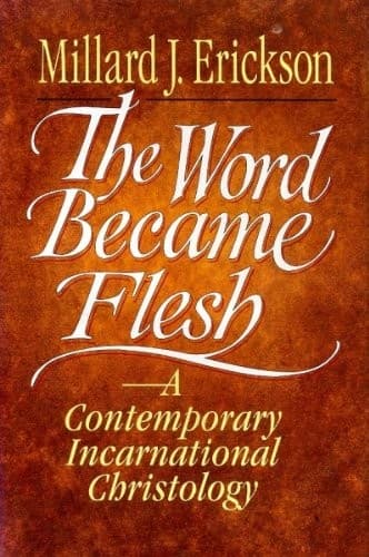 Cover image for The word became flesh
