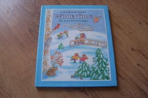 Cover image for Wintertime