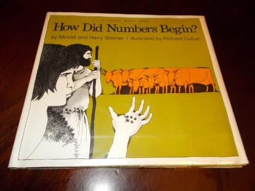 Cover image for How did numbers begin?