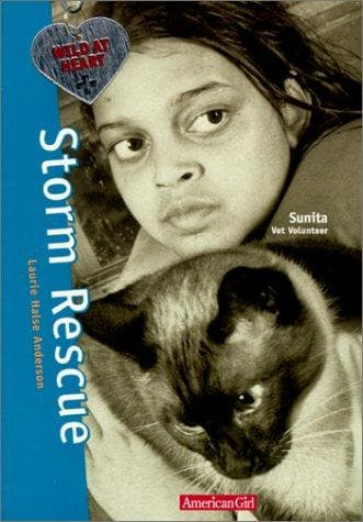 Cover image for Storm rescue