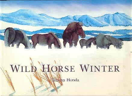 Cover image for Wild horse winter