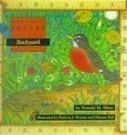 Cover image for Backyard