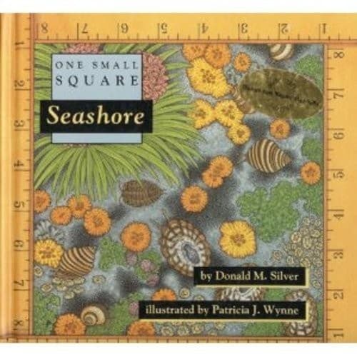 Cover image for Seashore