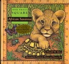 Cover image for African savanna