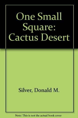 Cover image for Cactus desert