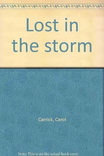 Cover image for Lost in the storm.