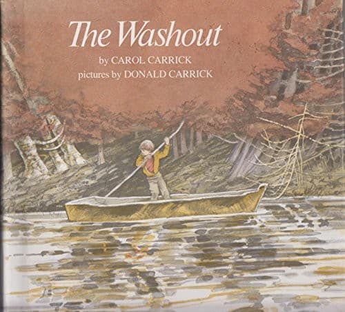 Cover image for The washout