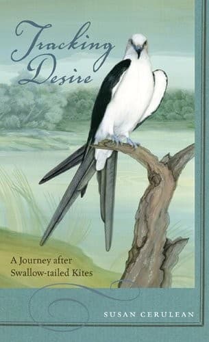 Cover image for Tracking desire