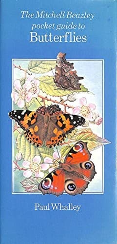 Cover image for The Mitchell Beazley pocket guide to butterflies