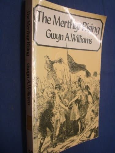 Cover image for The Merthyr rising