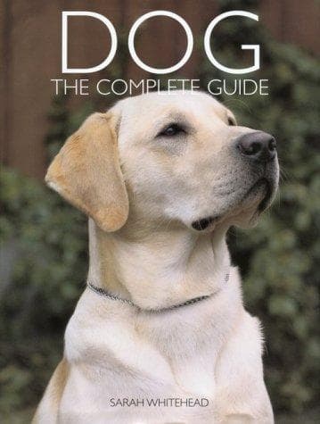 Cover image for Dog