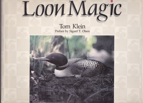 Cover image for Loon magic