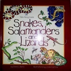 Cover image for Snakes, salamanders, and lizards
