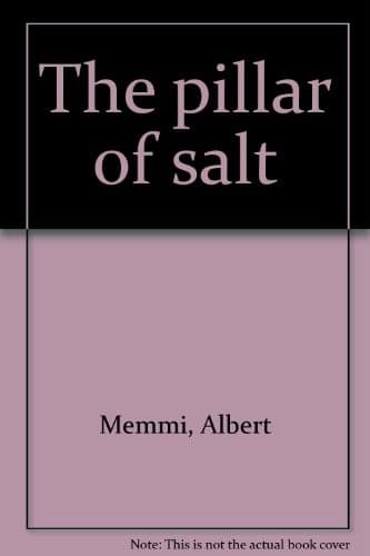 Cover image for The pillar of salt