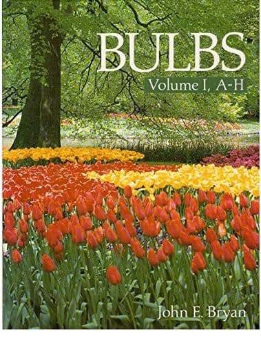 Cover image for Bulbs