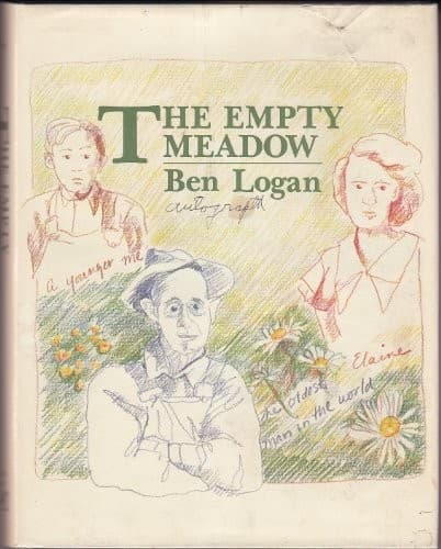 Cover image for The empty meadow
