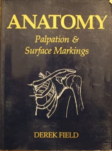 Cover image for Anatomy