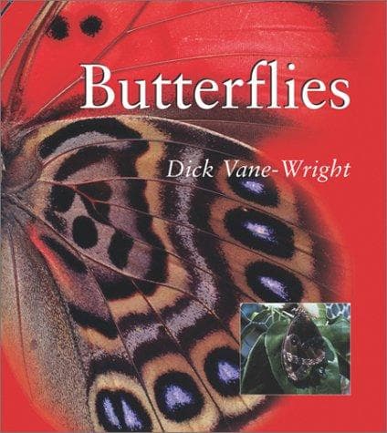 Cover image for BUTTERFLIES