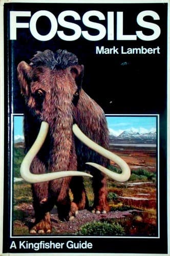 Cover image for Fossils