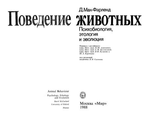 Cover image for Animal behaviour