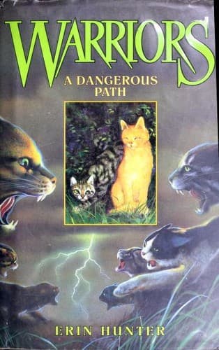 Cover image for A dangerous path