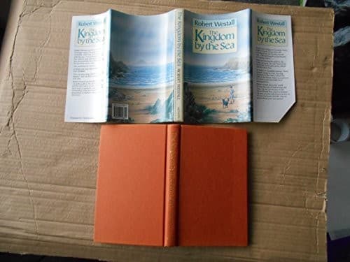 Cover image for The kingdom by the sea.