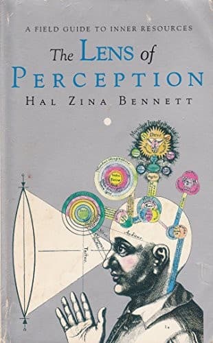Cover image for The lens of perception
